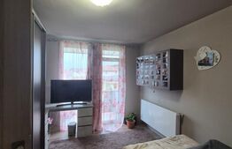 Duplex cu 4 camere, mobilat si utilat, 210 mp de teren, zona Catanelor