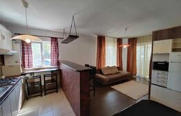 Apartament cu 2 camere, 50mp, posibilitate preluare chiriasi, zona Florilor