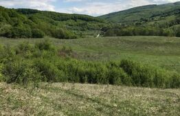 Teren intravilan in zona Roata Faget