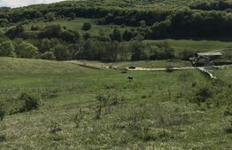 Teren intravilan in zona Roata Faget