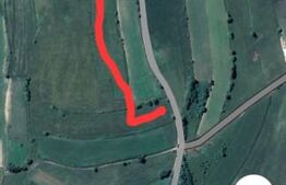 4 parcele de teren, suprafata totala 16.800 mp, Marisel