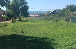 Teren intravilan, 3000 mp, zona centurii Donath