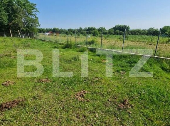 Teren de vânzare Gilău - 149499TV | BLITZ Cluj-Napoca | Poza1
