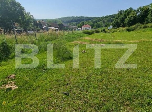 Teren de vânzare Gilău - 149499TV | BLITZ Cluj-Napoca | Poza2