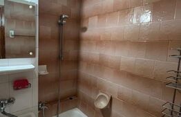 Garsoniera, 24 mp, zona Fantanele 