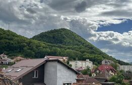 Apartament 3 camere in vila, Centrul Civic