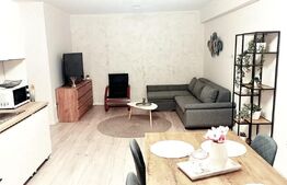 Apartament mobilat modern 2 camere, parcare, zona străzii Oașului 