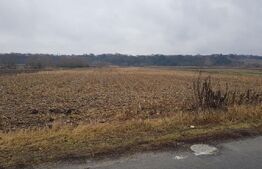 Teren extravilan, 4000 mp Jucu, zona Bosch 