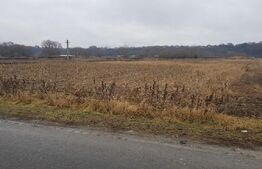 Teren extravilan, 4000 mp Jucu, zona Bosch 