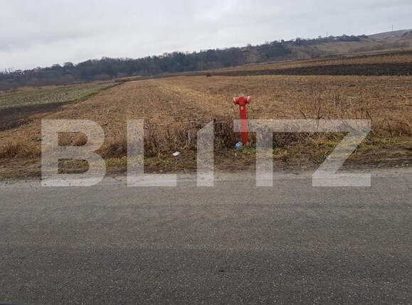 Teren de vânzare Jucu - 149658TV | BLITZ Cluj-Napoca | Poza1