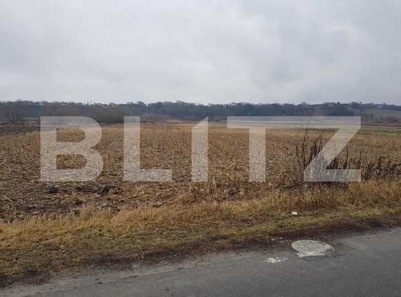 Teren de vânzare Jucu - 149658TV | BLITZ Cluj-Napoca | Poza2