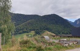 Teren 6.077 mp, Moieciu Pestera