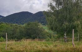 Teren 6.077 mp, Moieciu Pestera