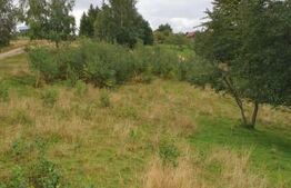 Teren 6.077 mp, Moieciu Pestera