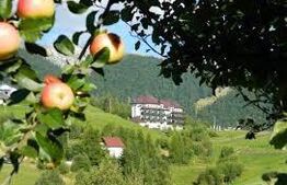 Teren 6.077 mp, Moieciu Pestera