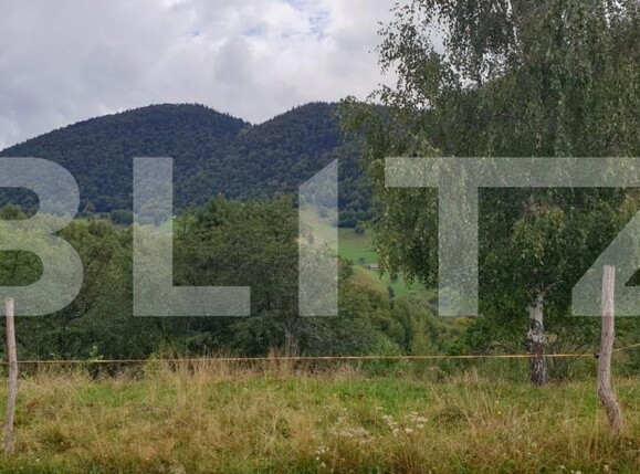 Teren de vânzare Moieciu - 149662TV | BLITZ Brașov | Poza7