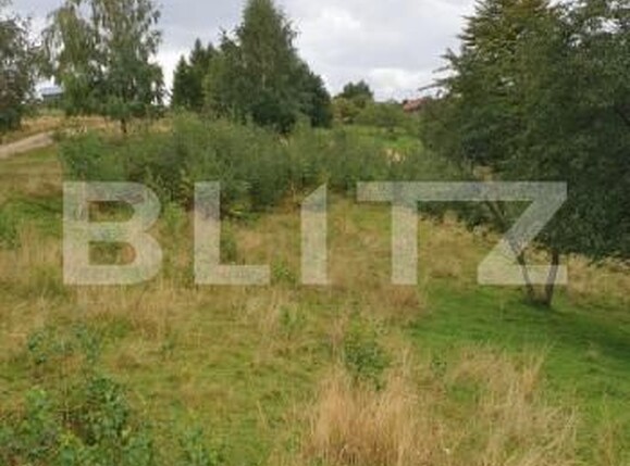 Teren de vânzare Moieciu - 149662TV | BLITZ Brașov | Poza9