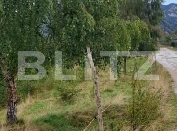 Teren de vânzare Moieciu - 149662TV | BLITZ Brașov | Poza10