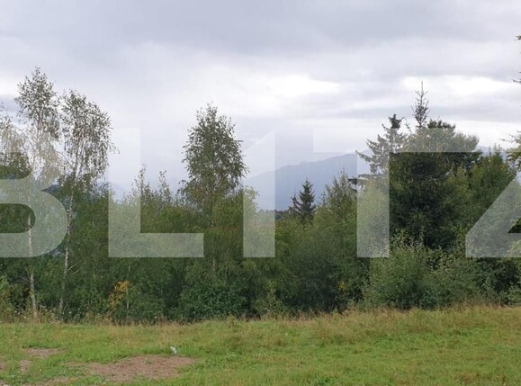 Teren de vânzare Moieciu - 149662TV | BLITZ Brașov | Poza8