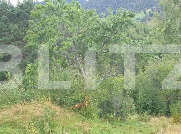 Teren de vânzare Moieciu - 149662TV | BLITZ Brașov | Poza12