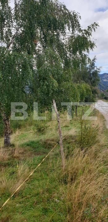 Teren de vânzare Moieciu - 149662TV | BLITZ Brașov | Poza10