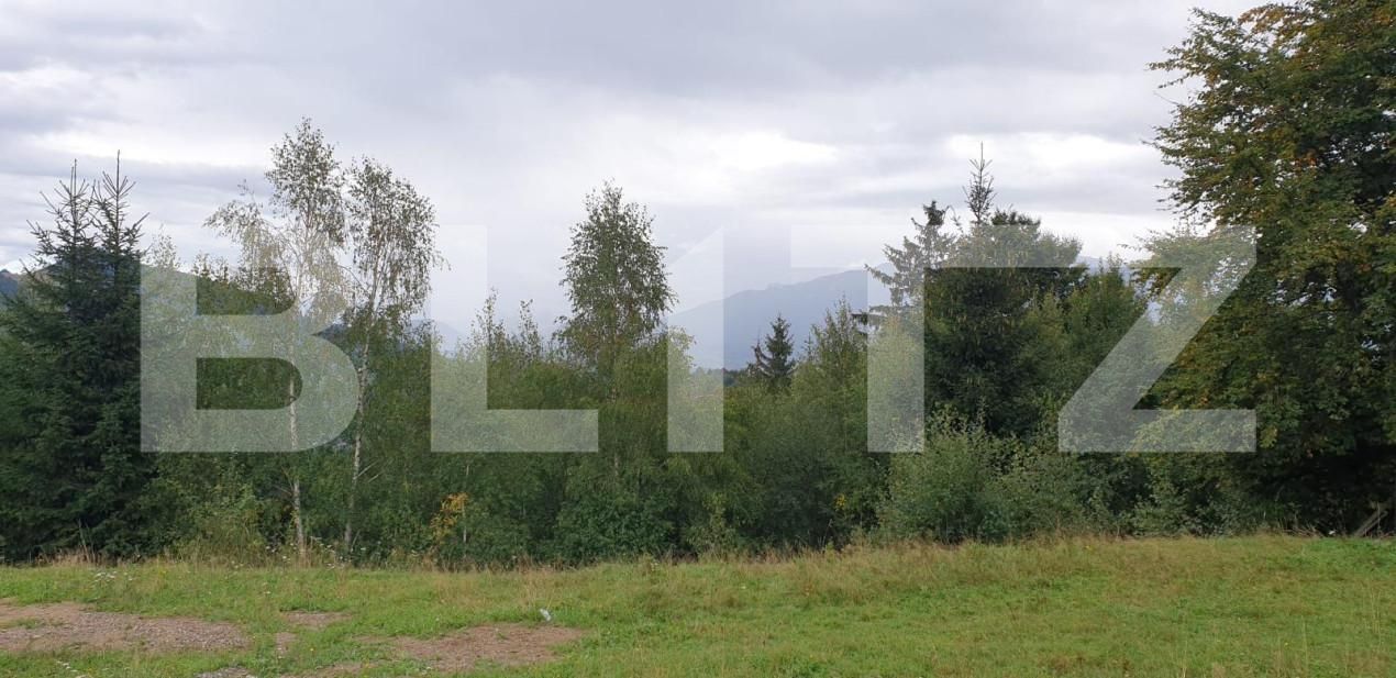 Teren de vânzare Moieciu - 149662TV | BLITZ Brașov | Poza8