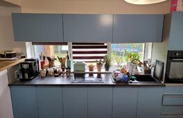 Casa de 220 mp, teren 1350 mp, in Salicea