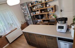 Casa de 220 mp, teren 1350 mp, in Salicea