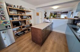 Casa de 220 mp, teren 1350 mp, in Salicea