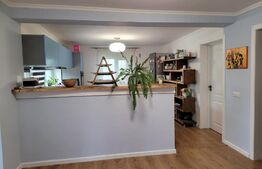 Casa de 220 mp, teren 1350 mp, in Salicea