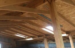 Casa deosebita, 4 camere, 191mp, Sanpetru