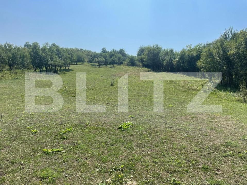 Teren de vânzare Coruşu - 149683TV | BLITZ Cluj-Napoca | Poza3