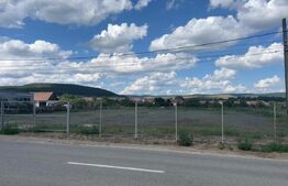 Teren, 6600mp, certificat de urbanism constructie hala, Gilau