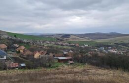 Casa 180 mp utili +470 mp teren,in Dezmir