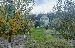 Casă de vânzare, teren 1024 mp, grădină și livadă, Vulcan 