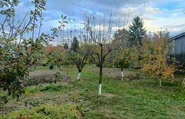 Casă de vânzare, teren 1024 mp, grădină și livadă, Vulcan 