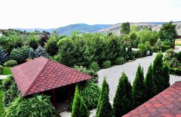 Proprietate HORECA cu sala de evenimente moderna, intr-o oaza de liniste 