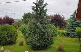 Proprietate HORECA cu sala de evenimente moderna, intr-o oaza de liniste 