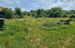 Casa individuala 140 mp cu teren 14660 mp - posibilitate de investiție, Suceagu