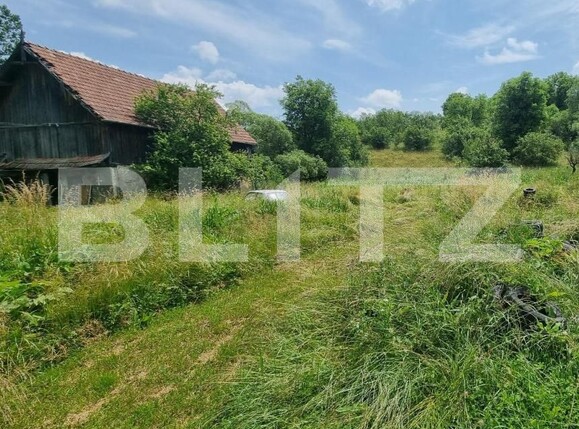 Casa de vânzare 5 camere Suceagu - 149737CV | BLITZ Cluj-Napoca | Poza4