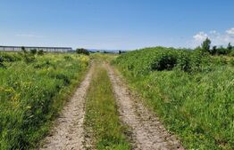 Teren intravilan, 8633 mp, Rascruci