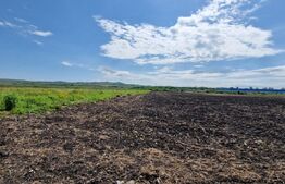 Teren intravilan, 8633 mp, Rascruci