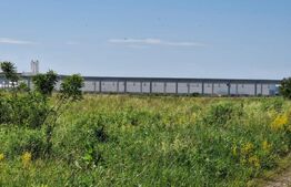 Teren intravilan, 8633 mp, Rascruci