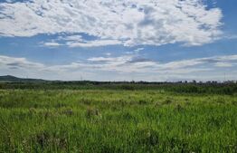 Teren intravilan, 8633 mp, Rascruci