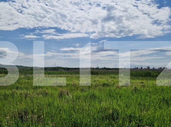 Teren de vânzare Răscruci - 149741TV | BLITZ Cluj-Napoca | Poza2