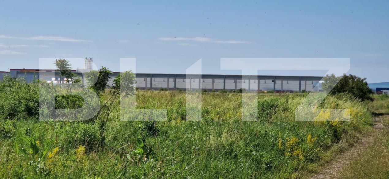 Teren de vânzare Răscruci - 149741TV | BLITZ Cluj-Napoca | Poza4