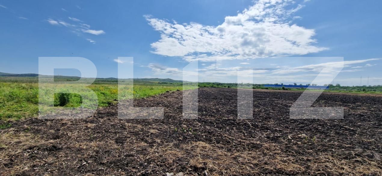 Teren de vânzare Răscruci - 149741TV | BLITZ Cluj-Napoca | Poza3