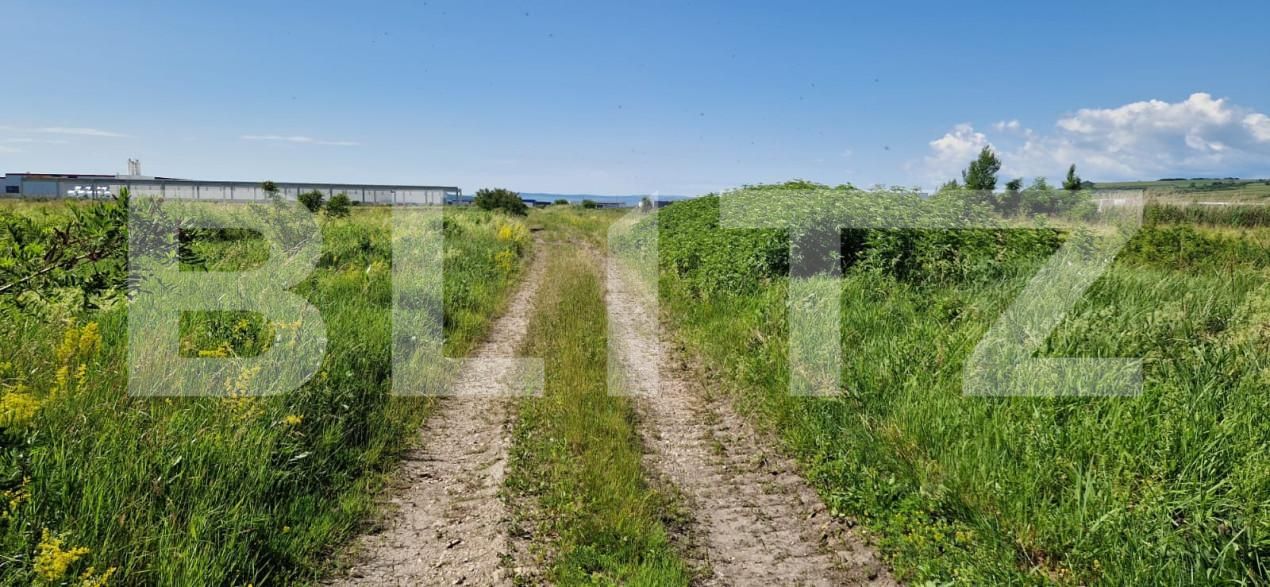 Teren de vânzare Răscruci - 149741TV | BLITZ Cluj-Napoca | Poza5