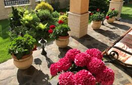 Casa 5 camere, 320mp, zona Buna Ziua 