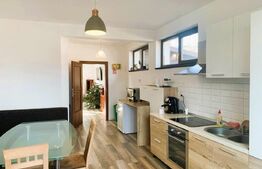 Vila la cheie cu piscina, 1500 mp teren, 7 camere, Salicea